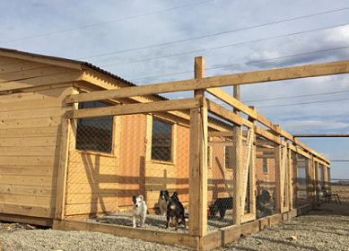 Новый приют для животных в Иркутском районе проверят депутаты ЗС